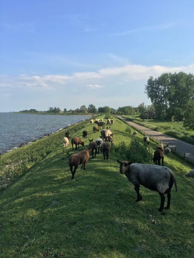 Huis Aan Ijsselmeer Nabij Amsterdam Villa Warder Exterior foto